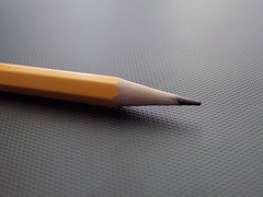 Formación intensiva para preparar el acceso a los grados de Educación